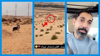 كلب عبدالرحيم توباك سوى فلم وانحاش بالبر 💔😐 \ سناب عبدالرحيم Bingoo