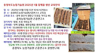 토종벌 양봉 집체꿀 생산에 대한 교육