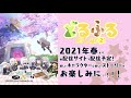 【ドールズフロントライン】ミニアニメ「どるふろ 癒し篇2 」告知pv