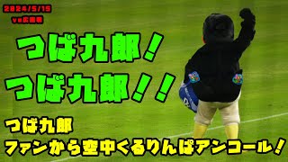 つば九郎　ライトスタンドから空中くるりんぱアンコールされる！　2024/5/15 vs広島