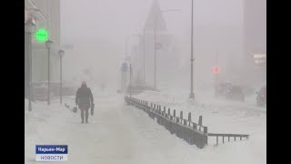 УСИЛЕНИЕ ВЕТРА В НАО