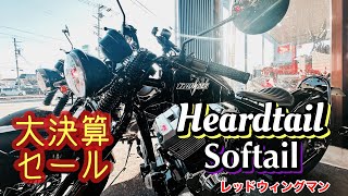 大決算セール‼️サンダー250 ソフテイル、ハードテイル1台ずつあります🙌