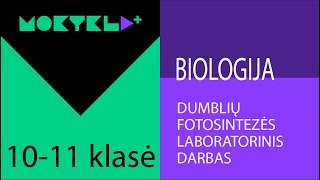 Mokykla+ | Biologija | 10-11 klasė | Dumblių fotosintezės laboratorinis darbas || Laisvės TV X