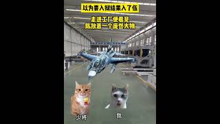 《非凡抓捕》第1～2集#猫meme #猫meme小剧场