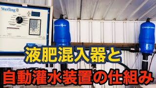 【水耕栽培】ドサトロンと自動灌水装置を使用したきゅうり栽培