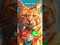 john cat calling you at 3 am... 🤣 mega cat challenge funny