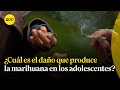 ¿Cuál es el daño que produce la marihuana en los adolescentes? | Espacio vital