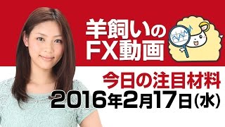 羊飼いのFX動画・水曜版「週前半の復習と本日及び週後半の注目ポイント」2月17日(水)