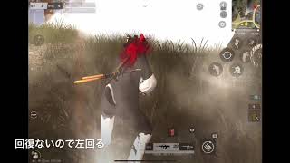 【荒野行動】デュオゲリララスト1vs2キャリー!?