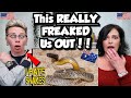 American Couple Reacts: AUSTRALIA'S 10 Most Dangerous Animals! FIRST TIME REACTION! *DON'T MISS THIS