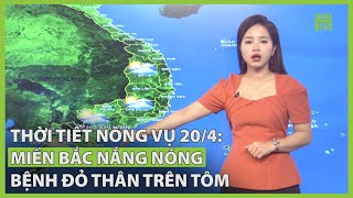 Thời tiết nông vụ 20/4: Miền Bắc nắng nóng, bệnh đỏ thân trên tôm | VTC16