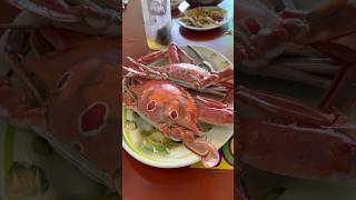 興達港吃螃蟹 三點蟹 Crab