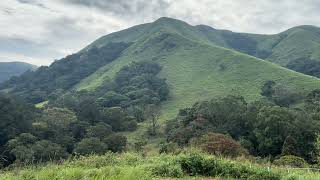 Periyar Valley