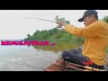 Mengejutkan Mancing Udang Galah Sungai Kapuas Rasau Jaya