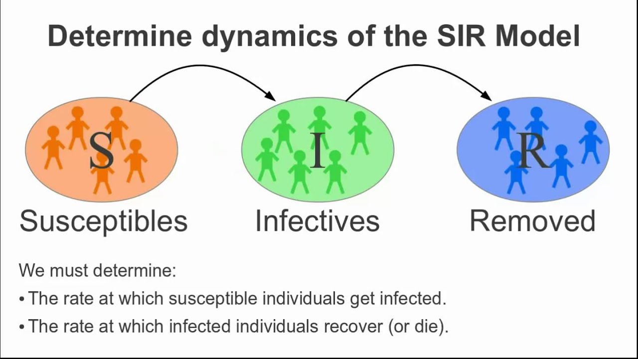 Disease Spread Model At Paul Hunter Blog