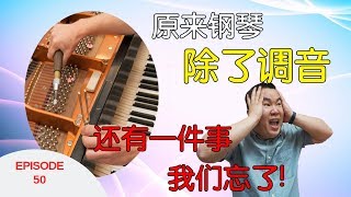 钢琴需要调音，还需要做些什么？