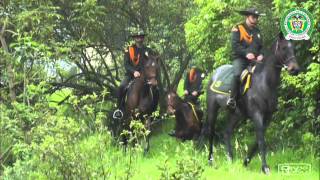 Dirección de Carabineros y Seguridad Rural DICAR - policiadecolombia.