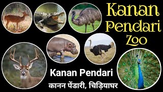 Kanan pendari Zoo Bilaspur Chhattisgarh, Kanan pendari Full Video Full Darshan