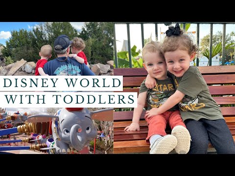 Disney World with tips, ideas and information for toddlers