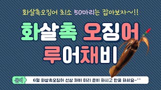 화살촉오징어 낚시채비 ! ! (선상채비)(입문자용)