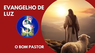 Escute e siga o Bom Pastor - Evangelho de Luz