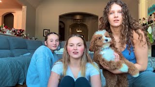 the best 3 person yoga challenge ever: part 4 vol 1