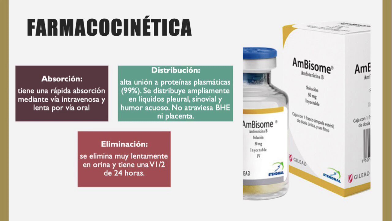 Anfotericina B - YouTube