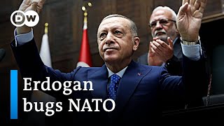 Why is Turkey still blocking Sweden and Finland from joining NATO? | DW News