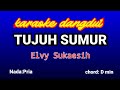 TUJUH SUMUR Karaoke Nada Pria-Elvy Sukaesih