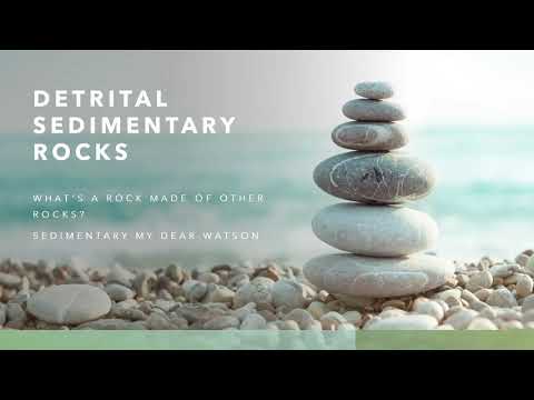 What is the most common detrital sedimentary rock?