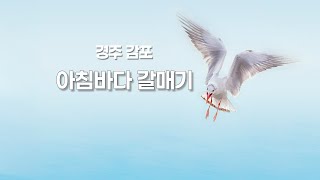 아침바다 갈매기(Sea seagull in the morning) / 감포 바다 사진출사