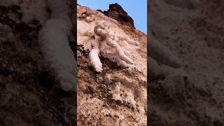 Rare salt stalactites can be seen in Wensu Tomur Grand Canyon罕见的盐钟乳在温宿托木尔大峡谷可看到