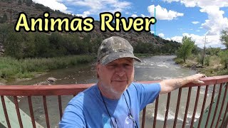 Walking the Animas River in Durango Co Talking about Flies on the FOOD