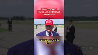'She’s WRONG': Trump on his Intel Chief Tulsi Gabbard