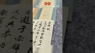 赵孟頫行书赤壁赋 #calligraphy #chinesecalligraphy #handwriting #chinese #中文 #書法 #中國
