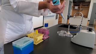 Lab 6-1: Standard Plate Count Technique