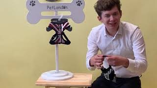 PetLondon Puppia Briton Soft Harness A in reflective British Style