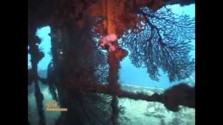 SSI Risk Awareness Video 3 - For Certified Divers