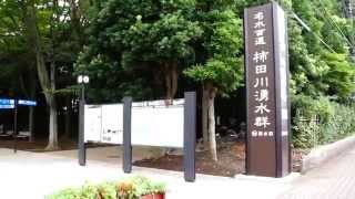 PRK－24　静岡県　柿田川湧水群 （ 柿田川公園・入り口 ⇒ 第１展望台・水源 ） 名水百選