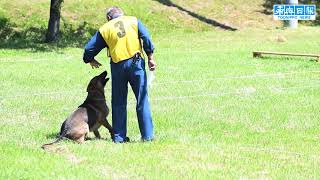 51頭、訓練の成果披露／警察犬審査会