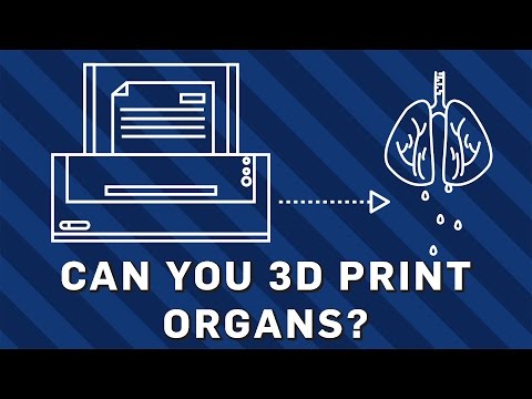 Можно ли печатать органы на 3D-принтере? | Науки о Земле