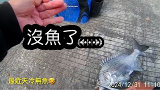 🐟(160）🐟最近 魚少的可憐...