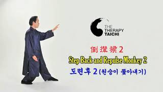 태극권 Taichi 太極拳 - Step Back and Repulse Monkey  / Lee Chan 李燦 이찬