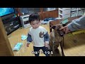 3人（成犬1、子犬1、幼児1）で写真を撮りたくて、並んで座って貰おうとしたのですが