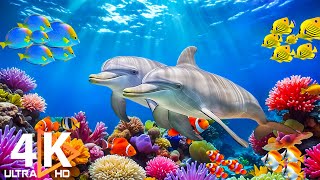 Perfect Ocean Fish 4K - Free Nature Documentary with Relaxing Music for Peaceful Sleep