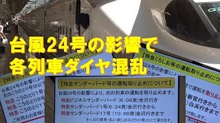 【車内放送】新幹線ひかり462号（N700A　台風24号の影響による列車運転計画案内　新神戸－新大阪）