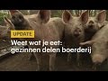 Gezinnen samen eigenaar van boerderij - RTL NIEUWS