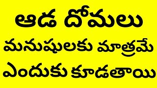 ఆడ దోమలు మాత్రమే మనుషుల రక్తం ఎందుకు తాగుతాయి,telugu guru,how to,why,what,intresting facts telugu,gu