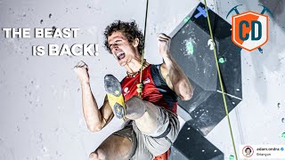 The World's BEST Comp Climbers Are Back... | Climbing Daily Ep.1716