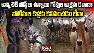 అన్ని చెక్ పోస్ట్ లు ఉన్నాయి గోవుల అక్రమ రవాణా పోలీసుల కళ్లకు కనిపించడం లేదా | Raj News Telugu